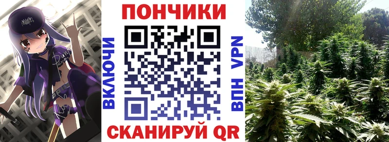 купить наркоту  Новопавловск  Конопля White Widow 